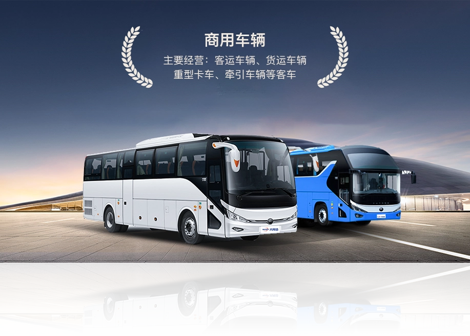 About dm 20250812102903 001