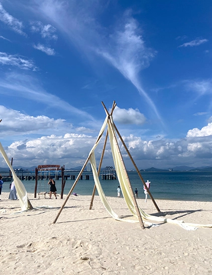 Development path dm 20250812154126 001